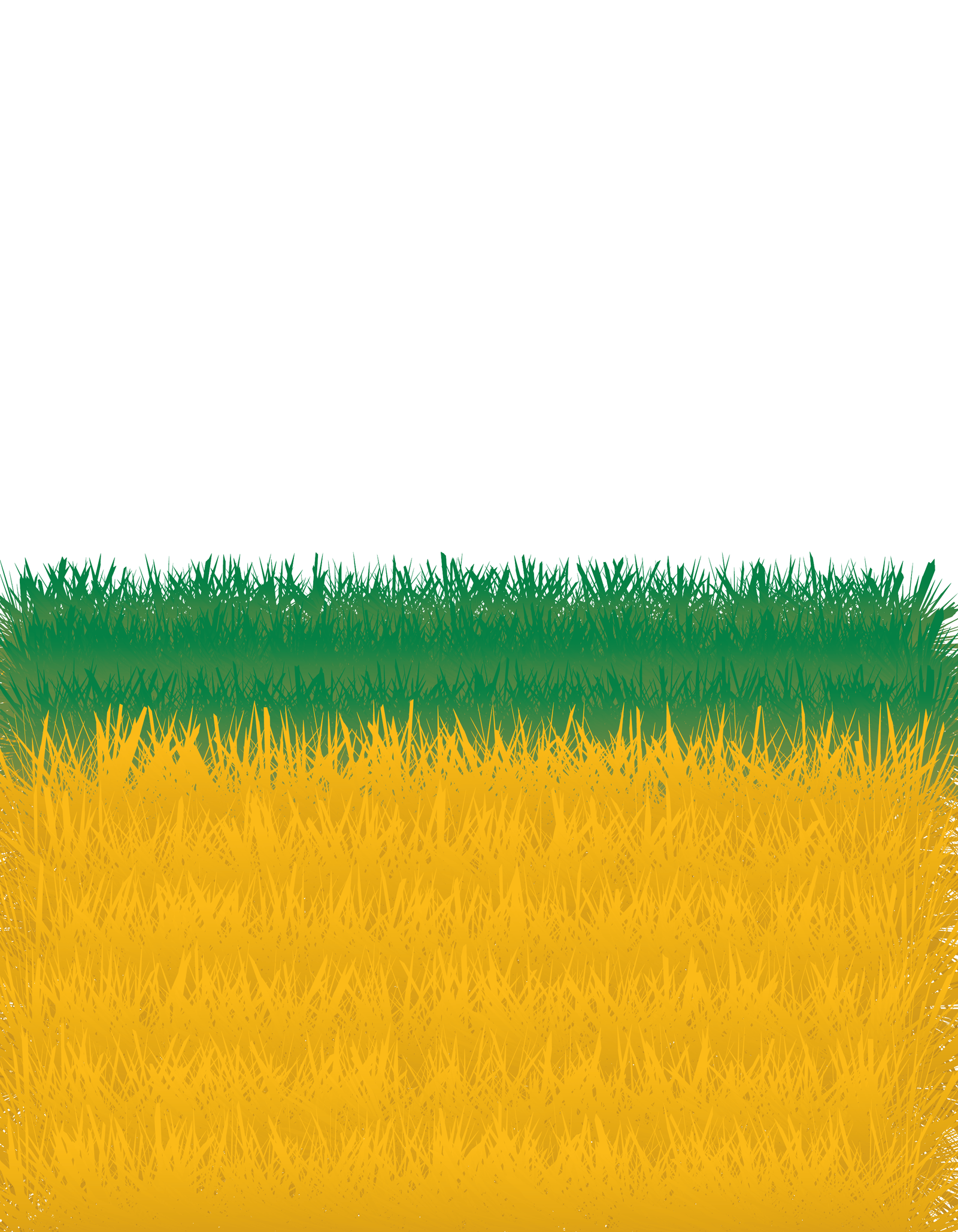 Image projet 14