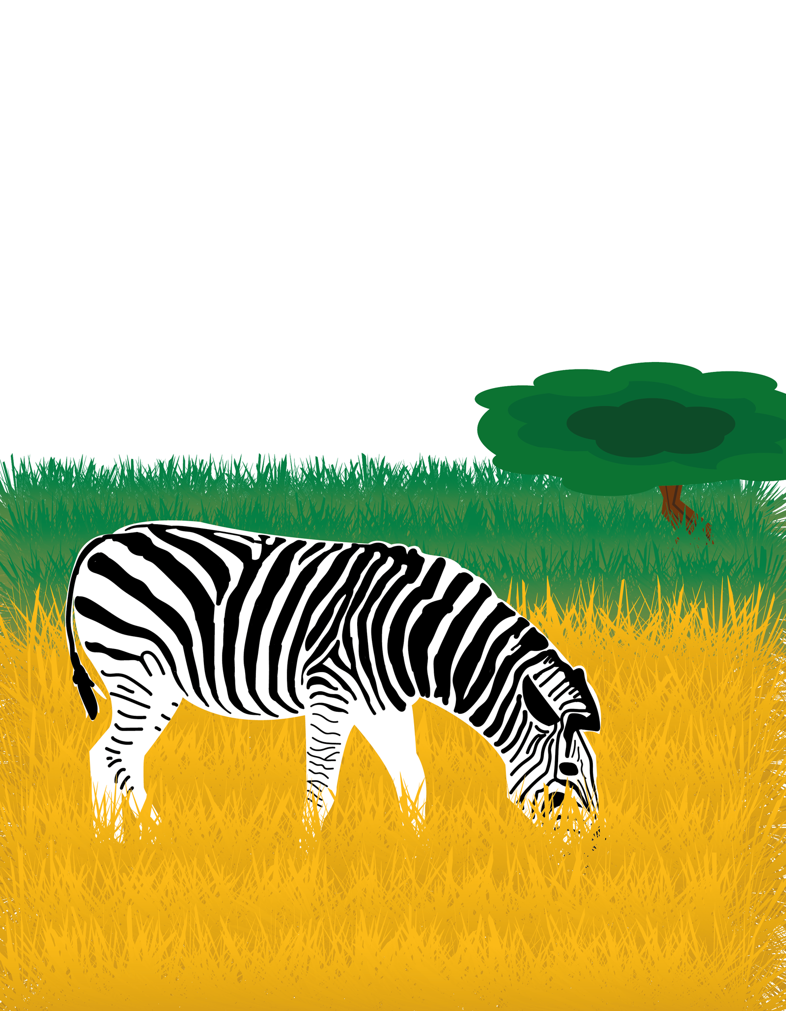 Image projet 15