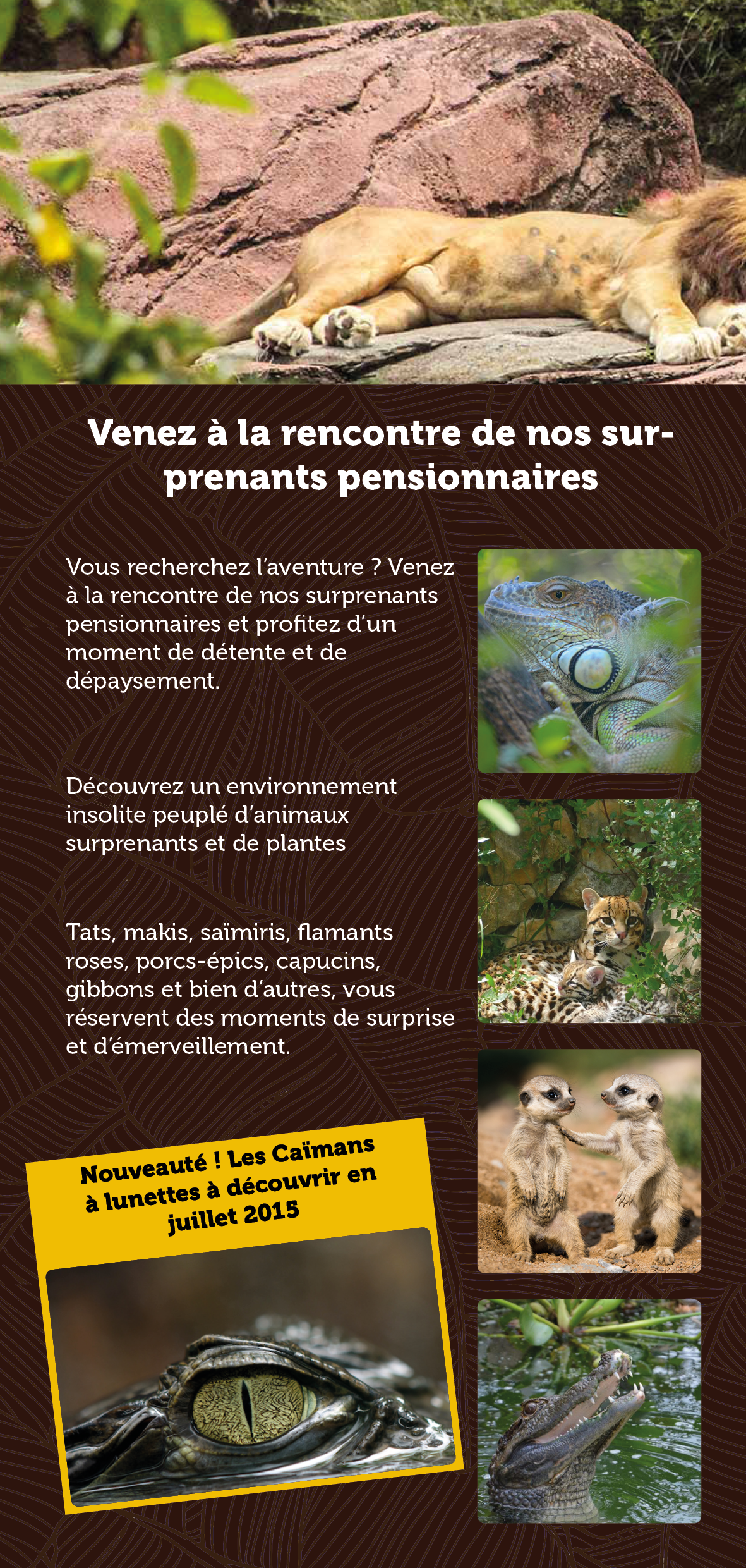 Image projet 20
