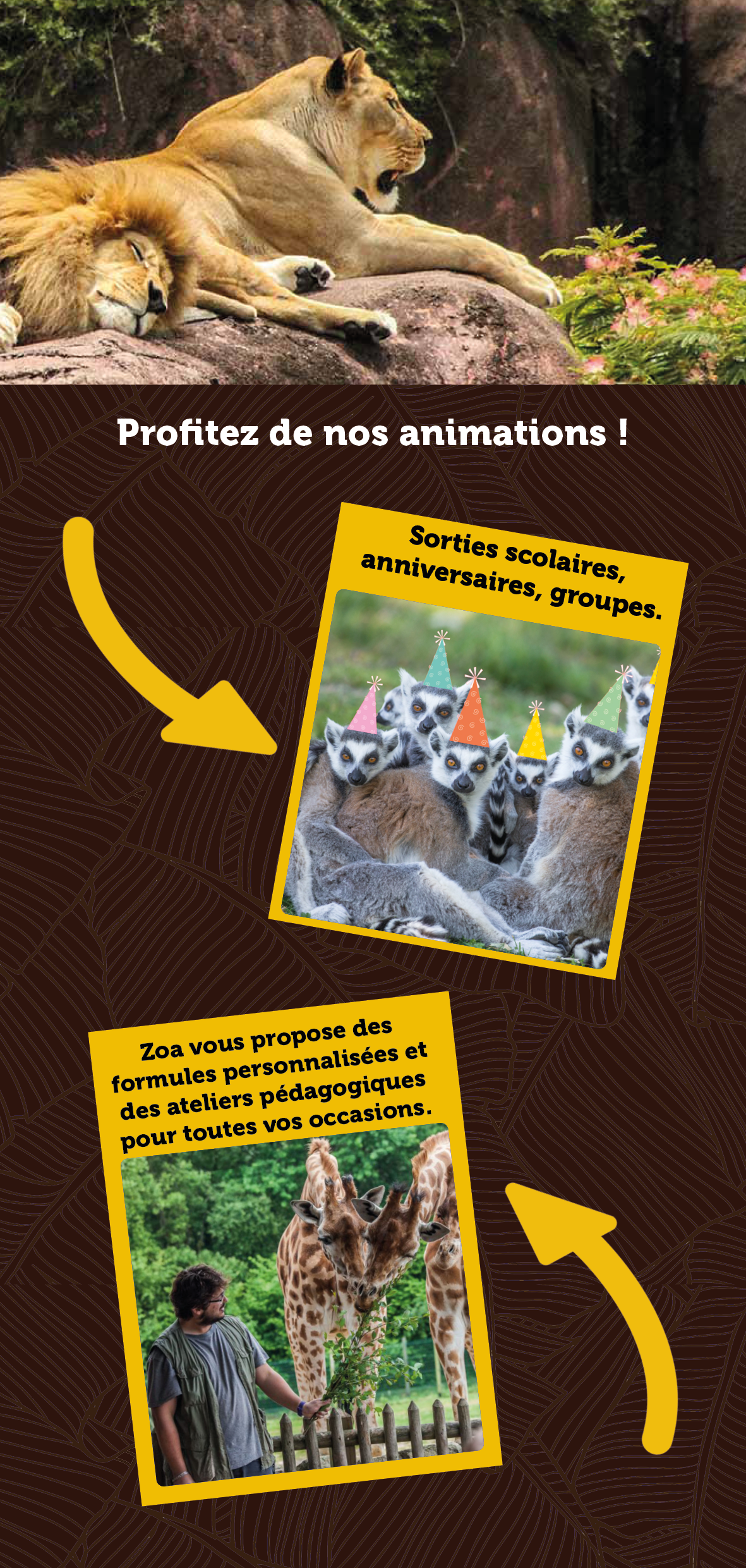 Image projet 21